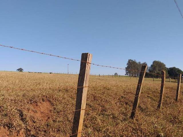 #199 - Fazenda para Venda em Brotas - SP - 2