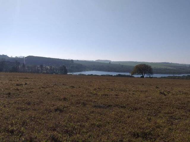 #199 - Fazenda para Venda em Brotas - SP - 3