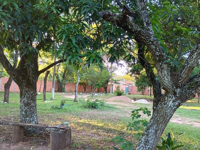 AREA EXTERNA