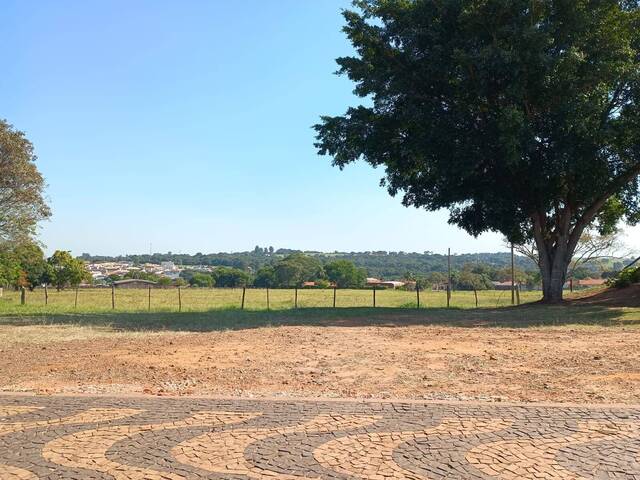 #376 - Terreno para Venda em Brotas - SP - 1