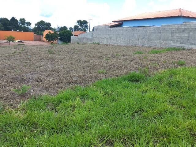 #419 - Área para Venda em Brotas - SP - 2