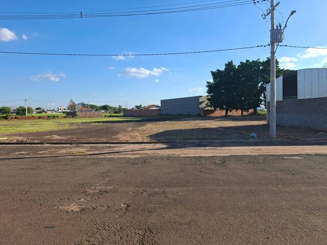 #433 - Área para Venda em Brotas - SP - 3